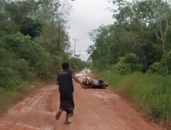 Viral! Warga Berjatuhan di Jalan Rusak Desa Korek, Kubu Raya, Pemerintah Diminta Respons Cepat