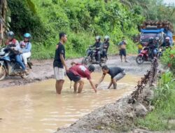Jalan Sidas – Darit Rusak Parah, Warga Desak Pemerintah Landak Bertindak
