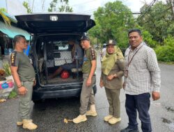 ODGJ Diamankan Satpol PP Pontianak, Dinsos Pastikan Penanganan Manusiawi